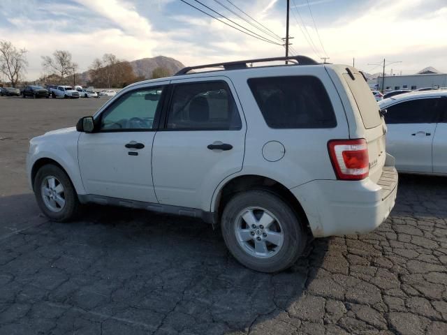 2010 Ford Escape XLT