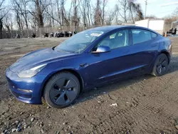 Salvage cars for sale at Baltimore, MD auction: 2023 Tesla Model 3