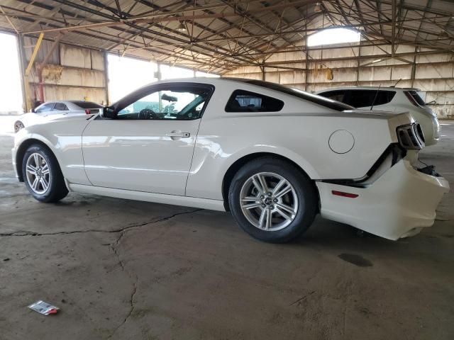 2013 Ford Mustang