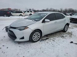 Toyota Corolla salvage cars for sale: 2019 Toyota Corolla L