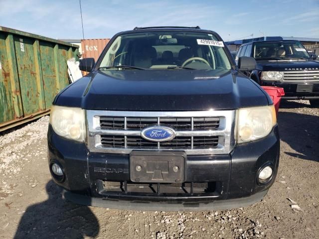 2011 Ford Escape XLT