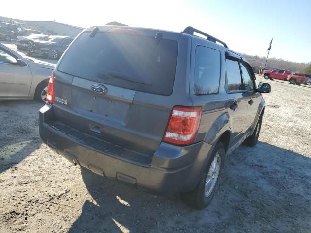 2011 Ford Escape XLT