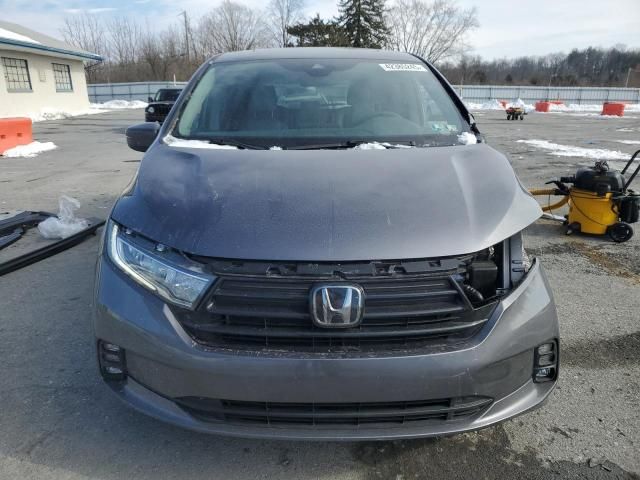 2024 Honda Odyssey EXL