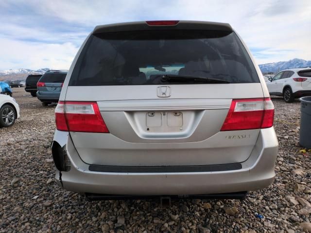 2005 Honda Odyssey EXL