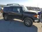 2010 Toyota FJ Cruiser