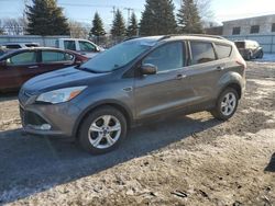 2014 Ford Escape SE en venta en Albany, NY