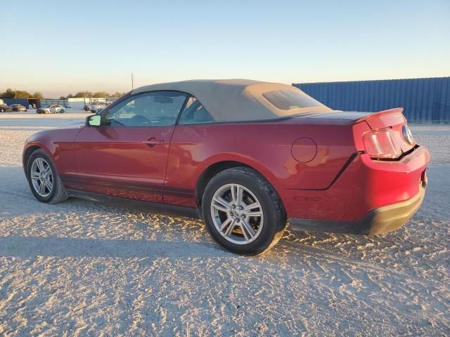 2010 Ford Mustang