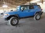 2007 Toyota FJ Cruiser