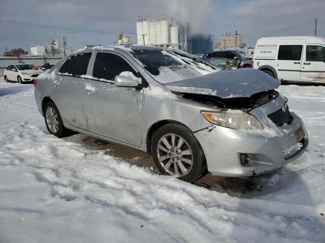 2010 Toyota Corolla Base