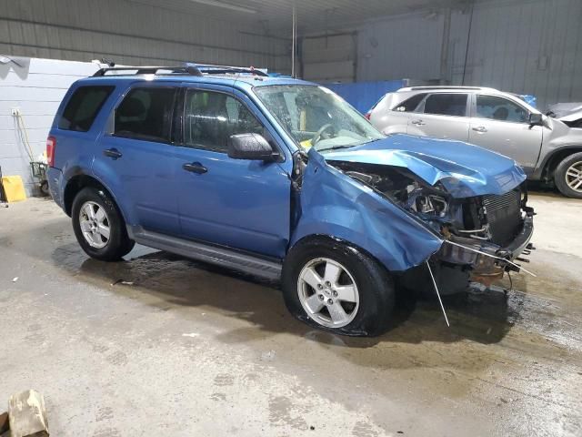 2009 Ford Escape XLT