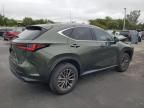 2025 Lexus NX 250 Base