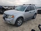 2008 Ford Escape XLS