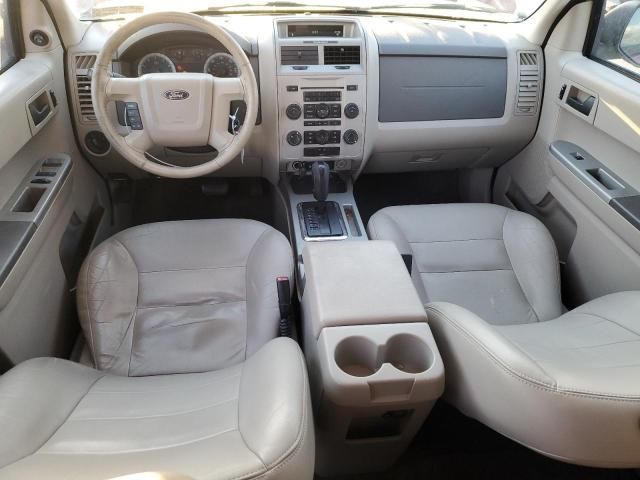 2008 Ford Escape XLT