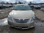 2007 Toyota Camry Hybrid