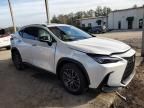 2024 Lexus NX 350H Base