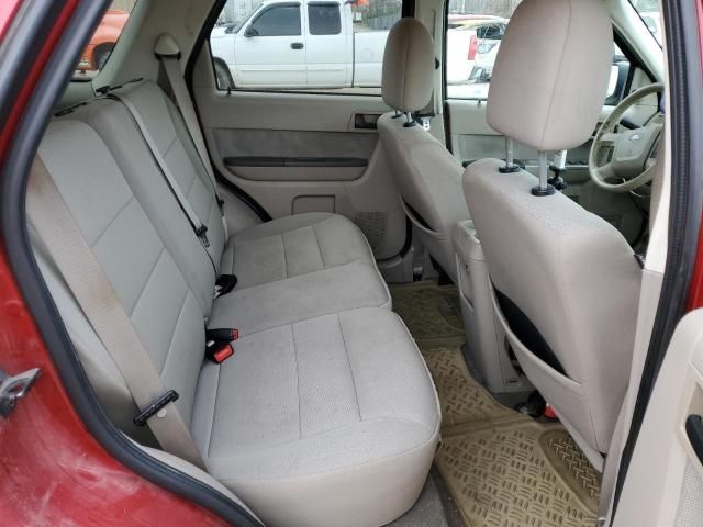 2010 Ford Escape XLT