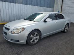 Clean Title Cars for sale at auction: 2011 Chevrolet Malibu 1LT