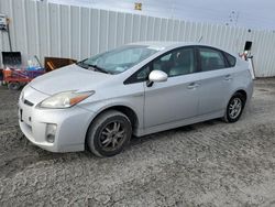 Toyota Vehiculos salvage en venta: 2010 Toyota Prius