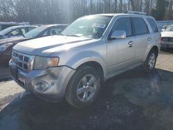 Salvage cars for sale at Glassboro, NJ auction: 2010 Ford Escape Limited