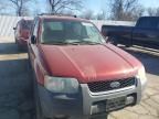 2004 Ford Escape XLT