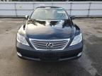 2009 Lexus LS 460