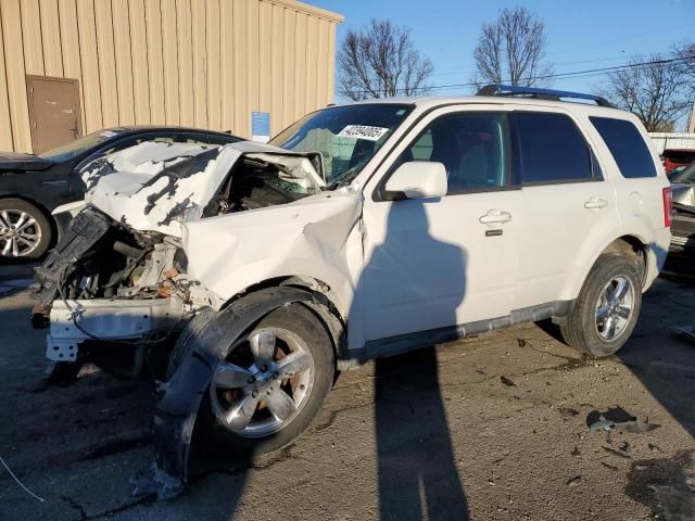 2011 Ford Escape Limited