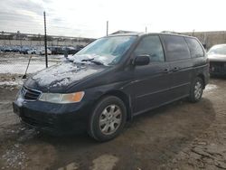 Salvage cars for sale from Copart Laurel, MD: 2003 Honda Odyssey EXL