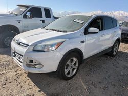 Salvage cars for sale at Magna, UT auction: 2016 Ford Escape SE