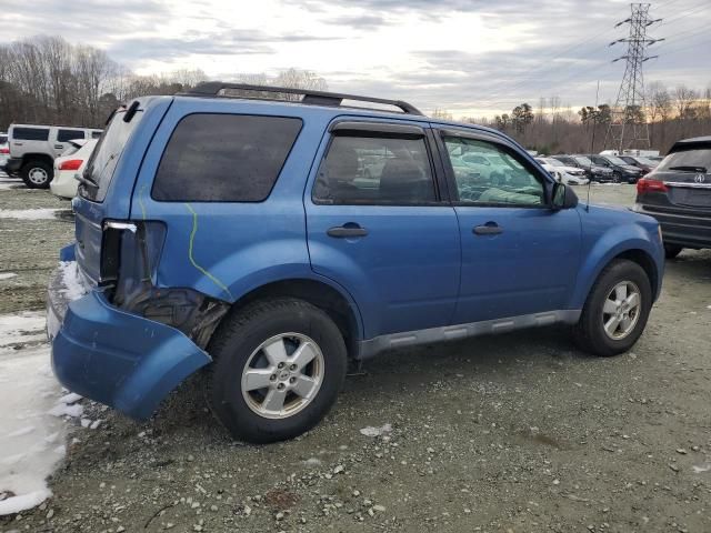 2010 Ford Escape XLT