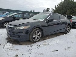 Salvage cars for sale at Finksburg, MD auction: 2012 Honda Accord EXL