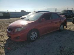 Toyota Corolla salvage cars for sale: 2009 Toyota Corolla Base