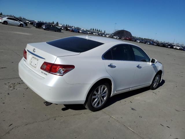 2010 Lexus ES 350