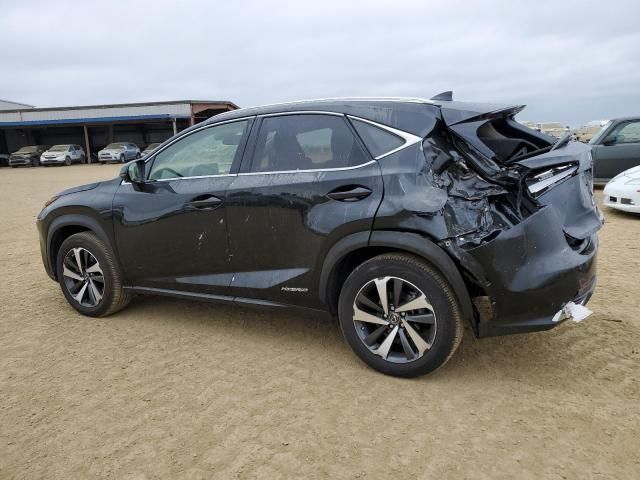 2019 Lexus NX 300H