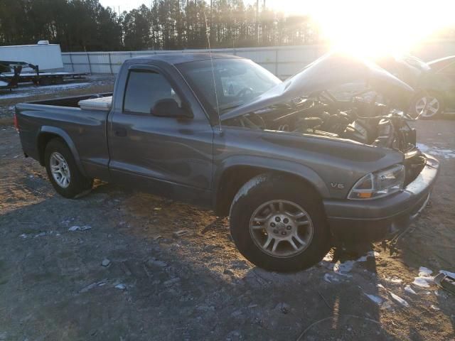 2002 Dodge Dakota Base