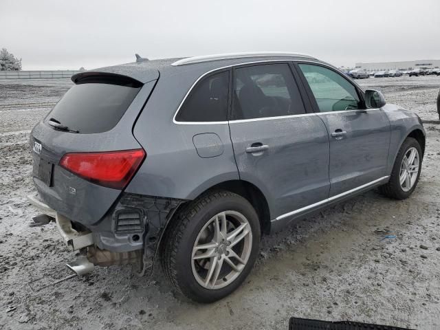 2014 Audi Q5 TDI Premium Plus