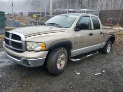 Dodge Vehiculos salvage en venta: 2003 Dodge RAM 1500 ST