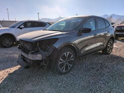 Salvage cars for sale at Magna, UT auction: 2022 Ford Escape SE