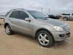 2006 Mercedes-Benz ML 350