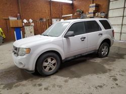 Buy Salvage Cars For Sale now at auction: 2012 Ford Escape XLT