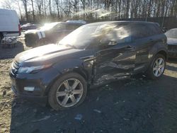 Salvage cars for sale at Waldorf, MD auction: 2013 Land Rover Range Rover Evoque Pure Plus