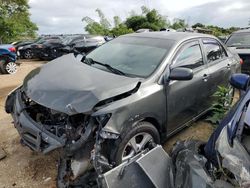 Salvage cars for sale from Copart Kapolei, HI: 2012 Toyota Corolla Base