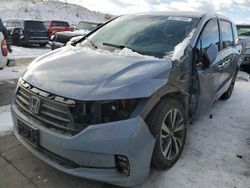 Honda salvage cars for sale: 2024 Honda Odyssey Touring