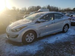 Salvage cars for sale at Chalfont, PA auction: 2016 Hyundai Elantra SE