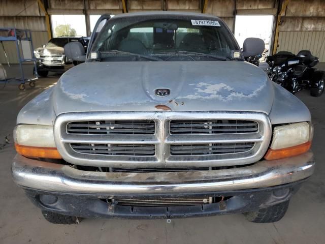 1999 Dodge Dakota