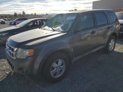 Ford salvage cars for sale: 2010 Ford Escape XLS