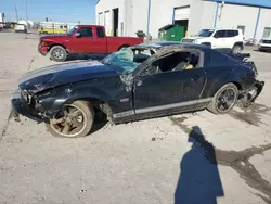 Ford Mustang gt salvage cars for sale: 2007 Ford Mustang GT