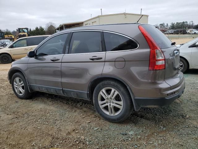 2010 Honda CR-V EXL