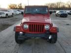 1998 Jeep Wrangler / TJ Sport