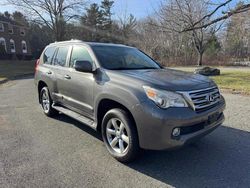 Lexus gx salvage cars for sale: 2013 Lexus GX 460