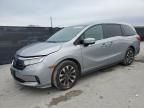 2022 Honda Odyssey EXL